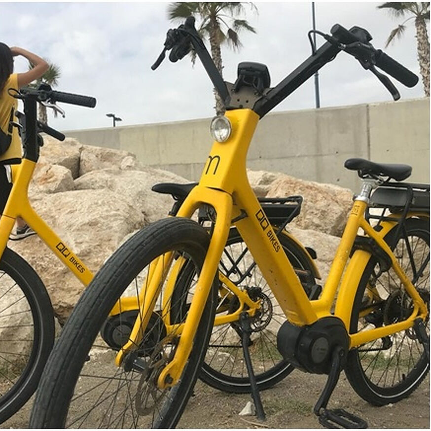 Visite guidée à vélo de Marbella