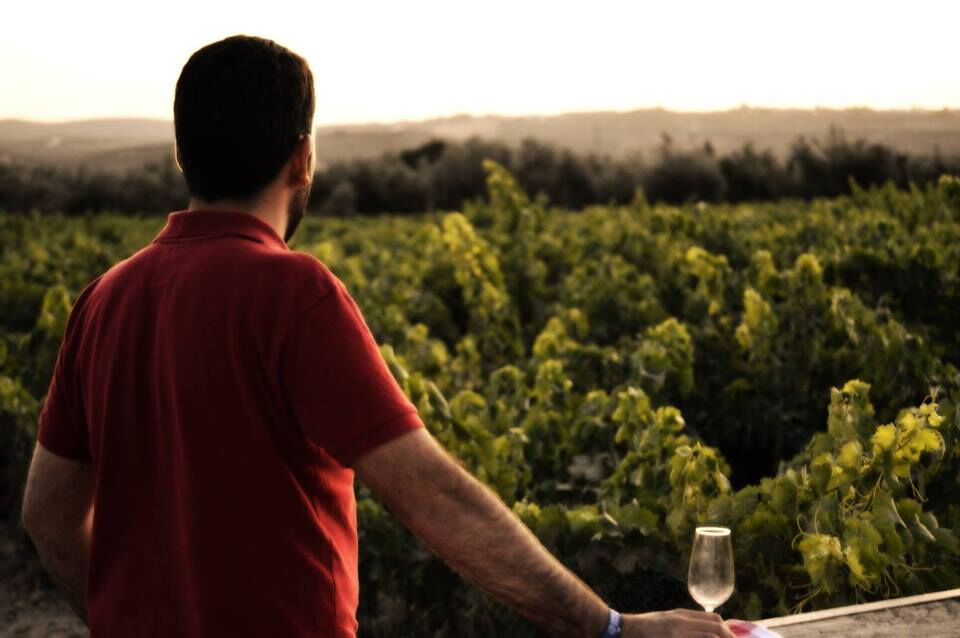 Cave à vin Viña La Constancia : visite guidée exclusive & dégustation de vin