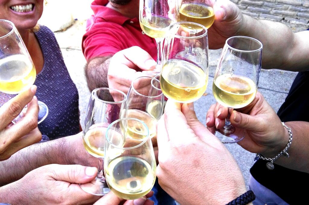 Cave à vin Viña La Constancia : visite guidée exclusive & dégustation de vin