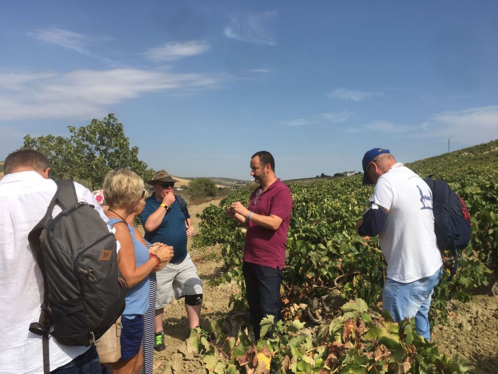 Cave à vin Viña La Constancia : visite guidée exclusive & dégustation de vin