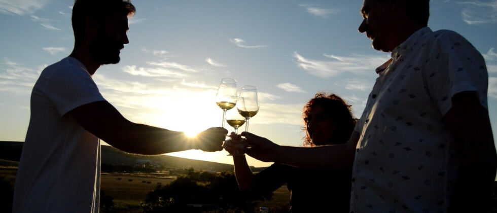 Cave à vin Viña La Constancia : visite guidée exclusive & dégustation de vin