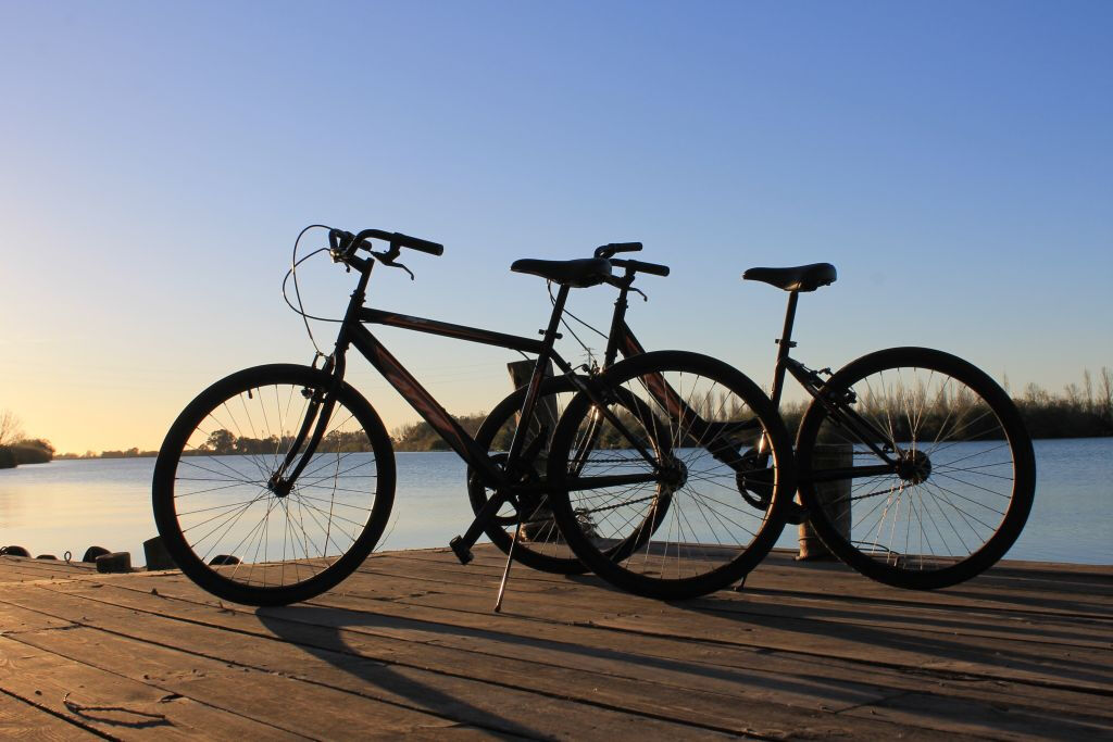 Delta del Ebro: Excursión en kayak y bici