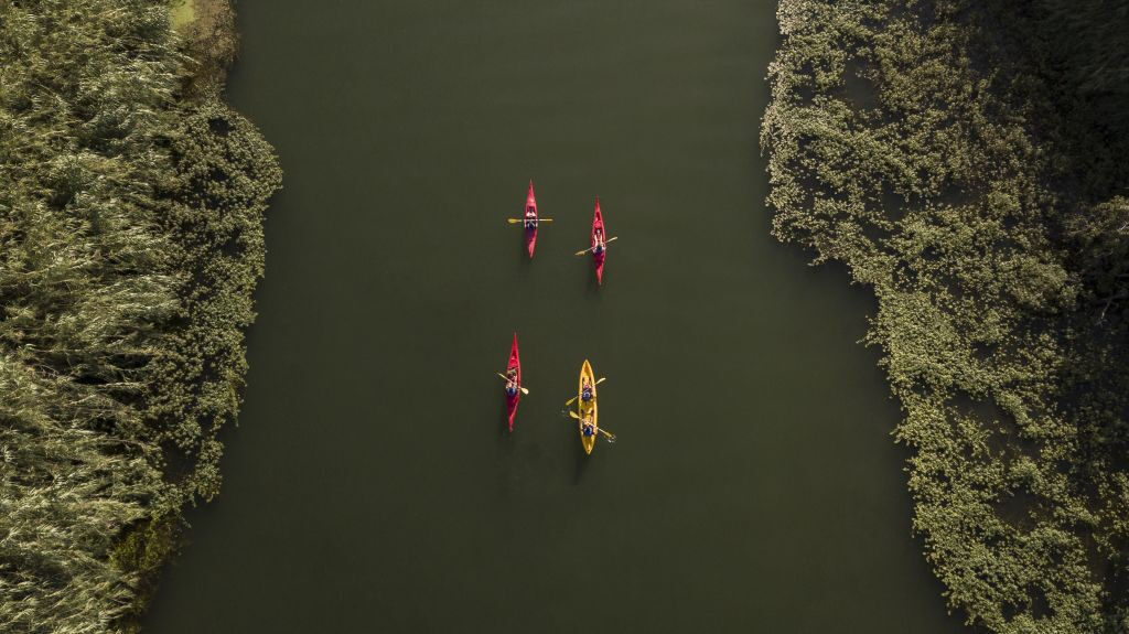 Delta de l'Èbre : excursion en kayak et à vélo