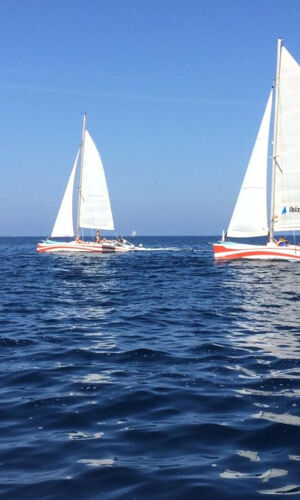 Bahía de Fornells: Crucero en catamarán de medio día