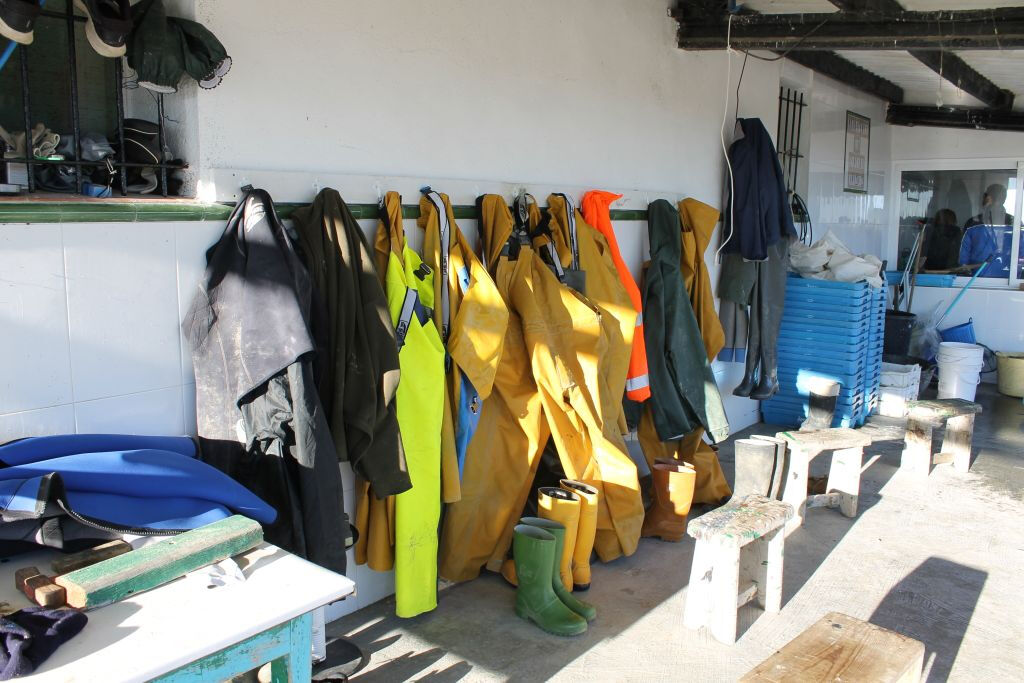 Escursione in veicolo sul Delta dell'Ebro