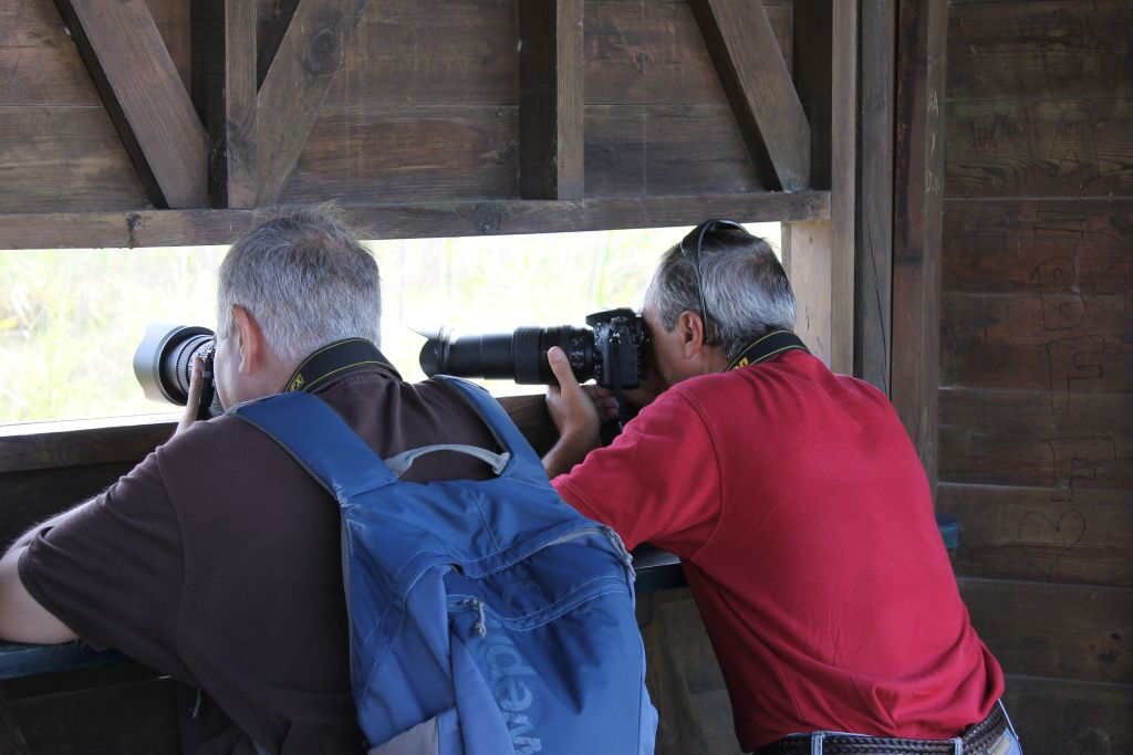 Excursión en Vehículo por el Delta del Ebro