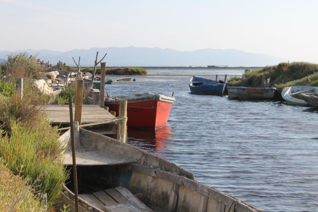 Excursión en Vehículo por el Delta del Ebro