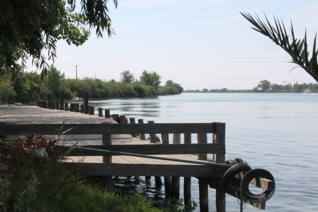 Excursión en Vehículo por el Delta del Ebro