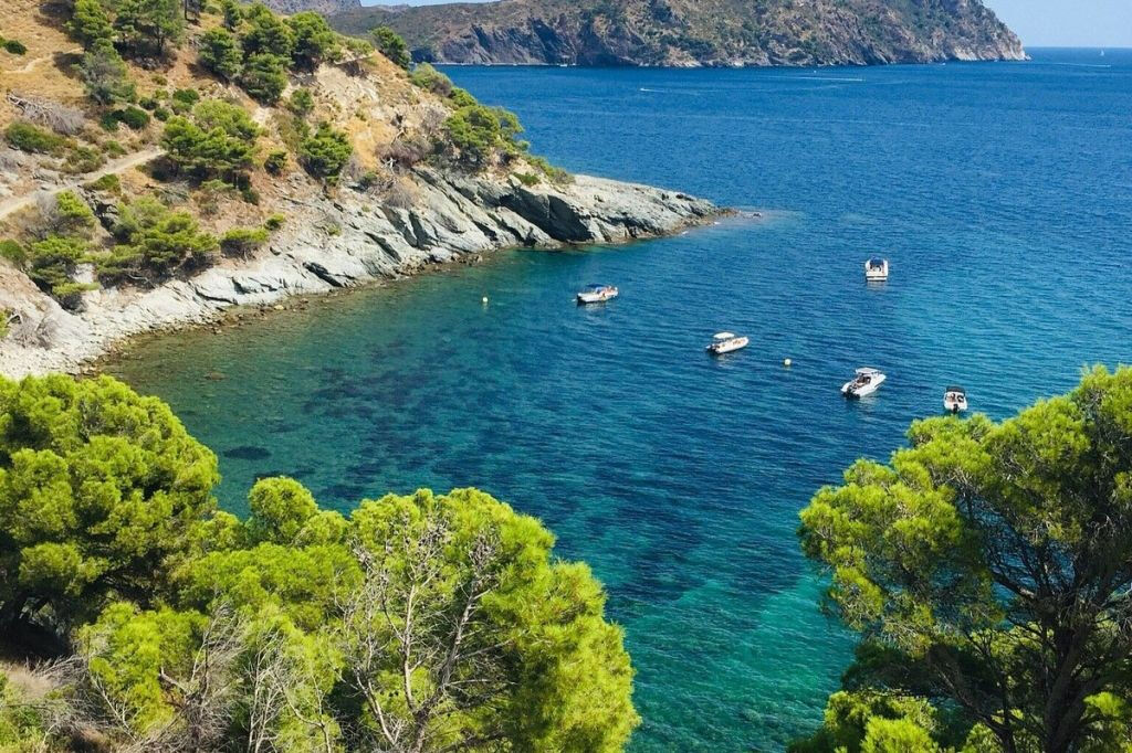 Excursión en barco con fondo de cristal a Cala Murtra desde Roses