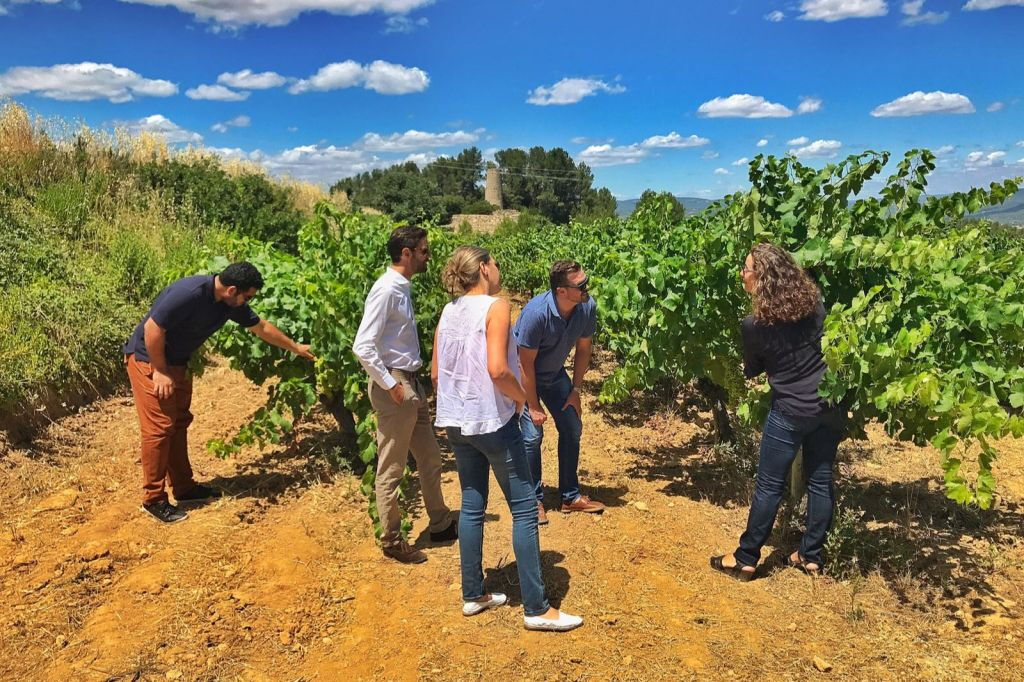 Tour Premium de Vinos y Espumosos