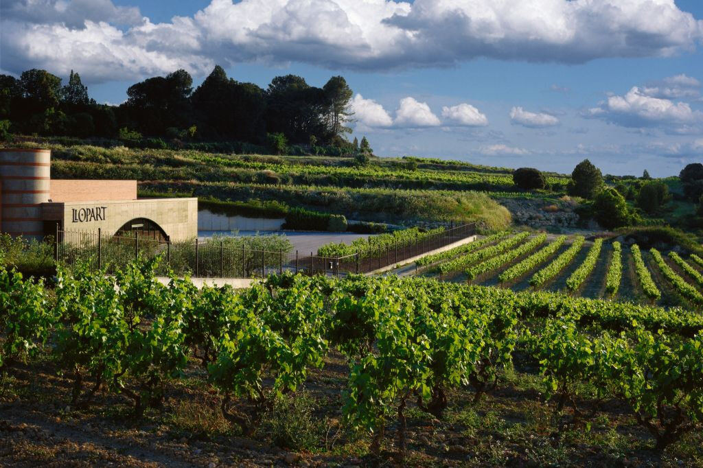 Tour Premium de Vinos y Espumosos