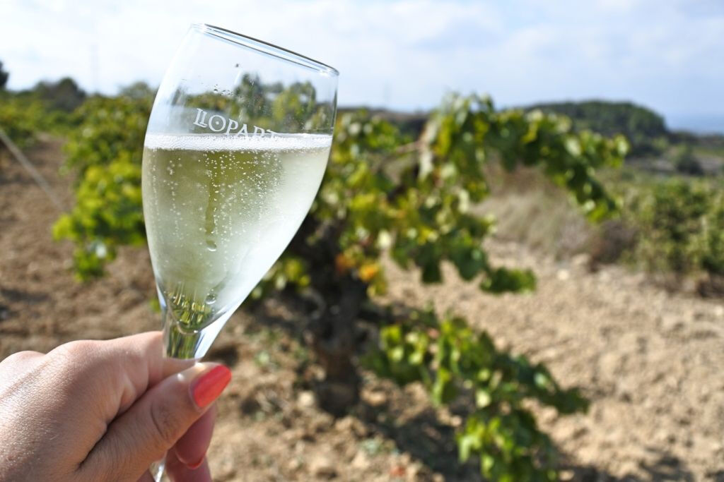 Wine & Sparkling Wine Premium Tour