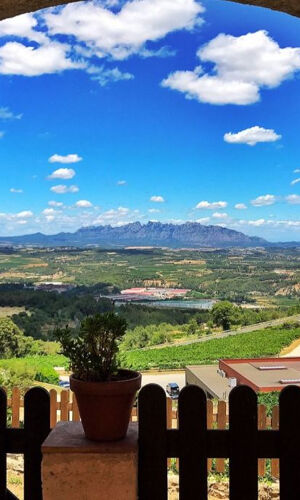 Wine & Sparkling Wine Premium Tour