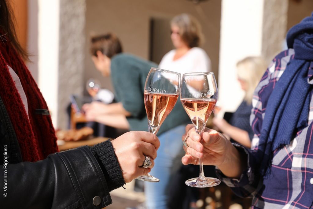 Tour Premium de Vinos y Espumosos