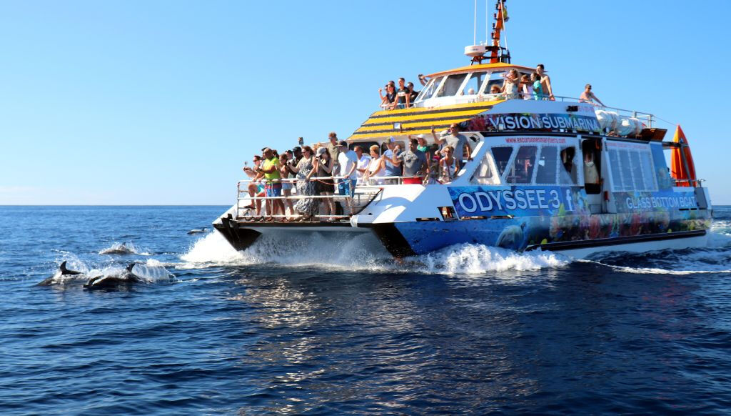 Fuerteventura Odyssee 3