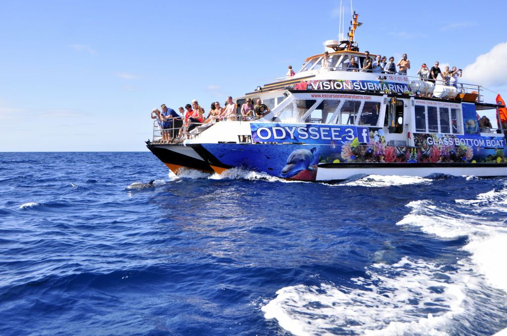 Fuerteventura Odyssee 3