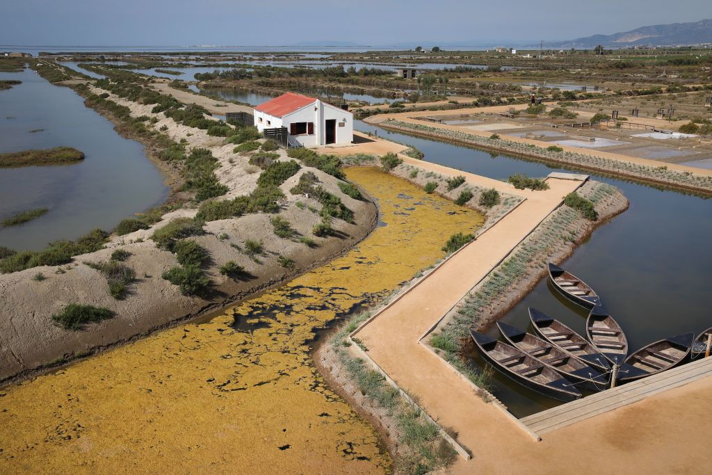 Visita guiada a MónNatura Delta de l'Ebre