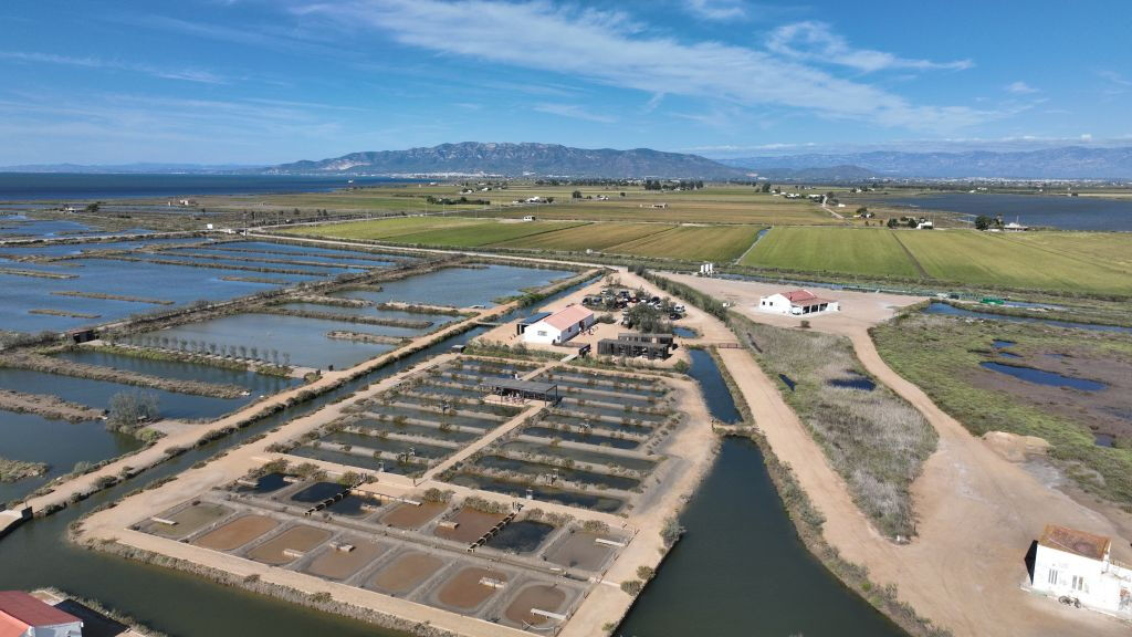 Visita guiada a MónNatura Delta de l'Ebre