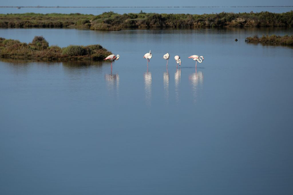 Visita guiada a MónNatura Delta de l'Ebre