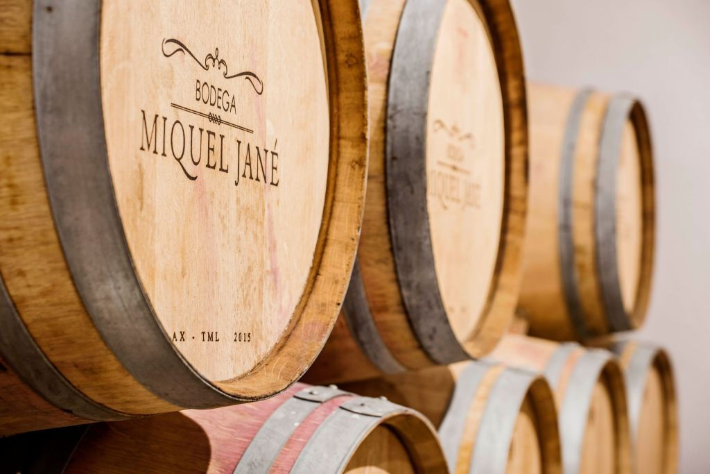 Penedès Wine Cellar Visit + Tasting: Day Trip from Barcelona