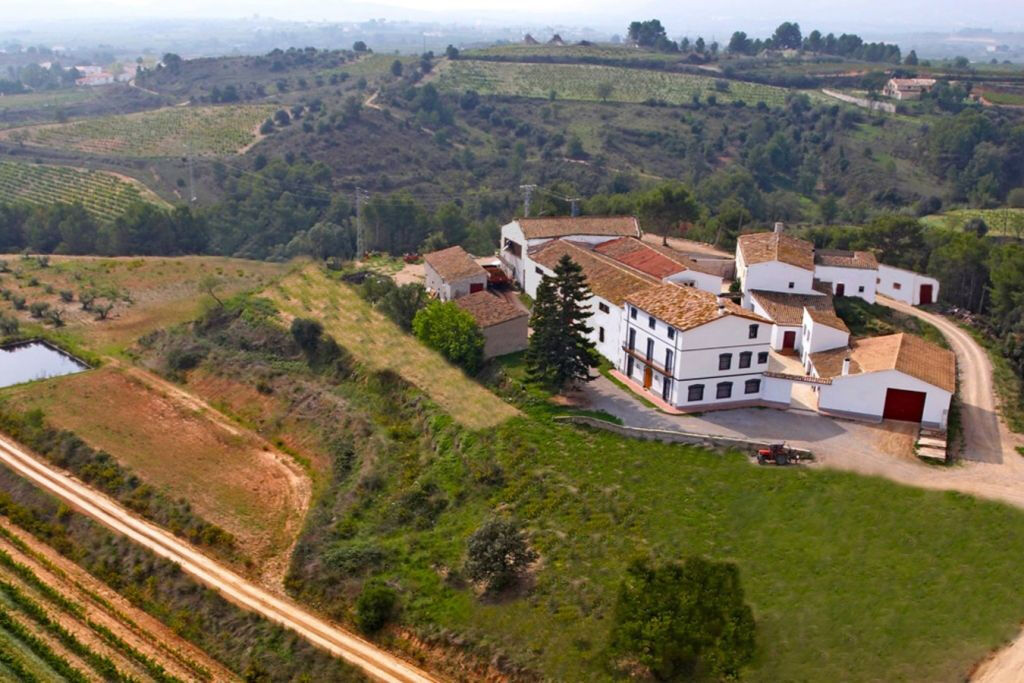 Penedès Wine Cellar Visit + Tasting: Day Trip from Barcelona