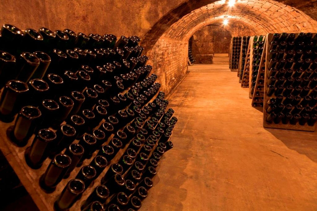 Penedès Wine Cellar Visit + Tasting: Day Trip from Barcelona