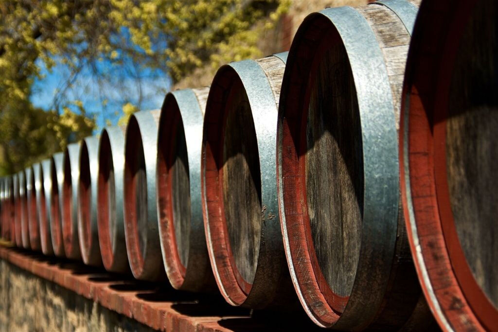 Penedès Wine Cellar Visit + Tasting: Day Trip from Barcelona
