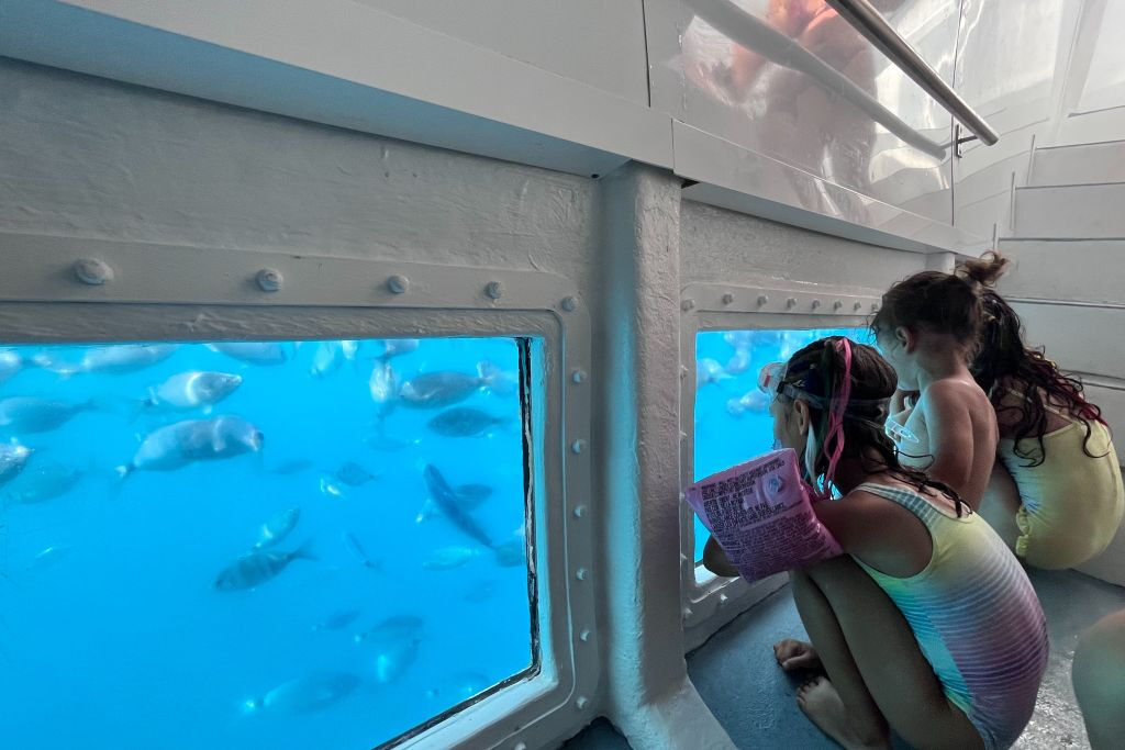 Roses: Cap Norfeu + Excursión en barco a la Cueva de Tamariu