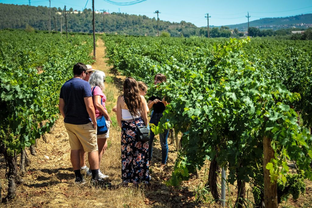 Montserrat: Small Group Tour from Barcelona with Organic Wine Tasting