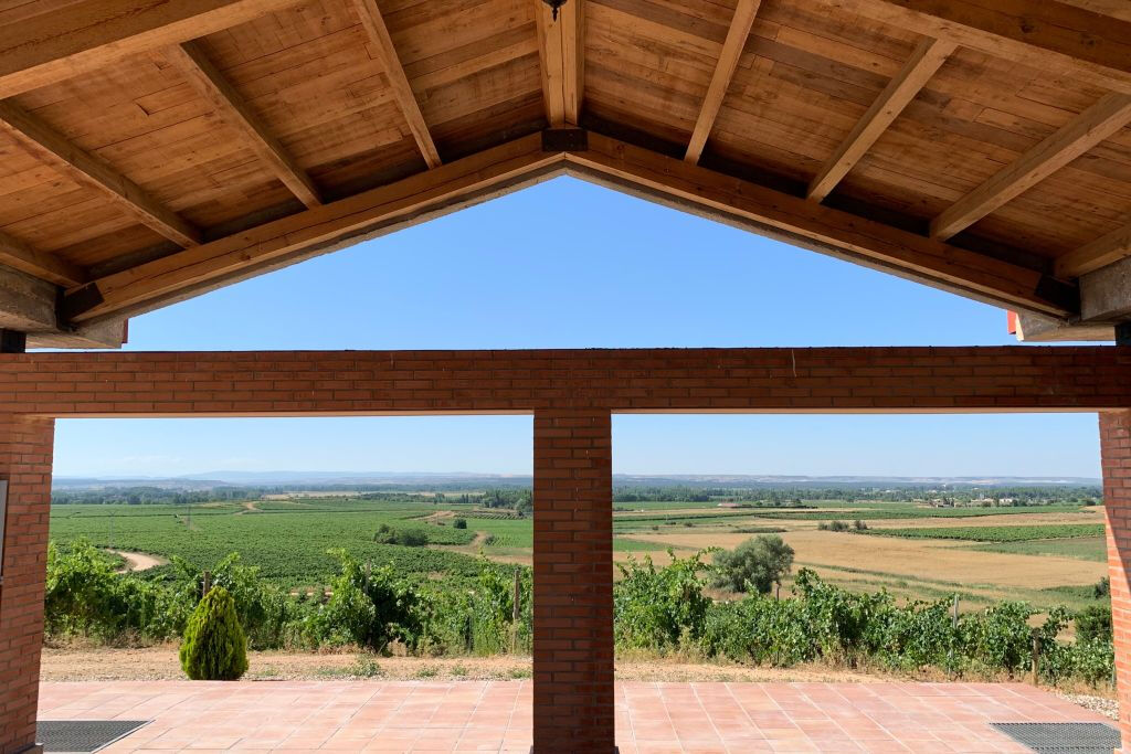 Visit with Wine, Appetizer and Tasting Menu Option in Ribera del Duero