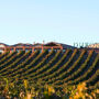 Visit with Wine, Appetizer and Tasting Menu Option in Ribera del Duero