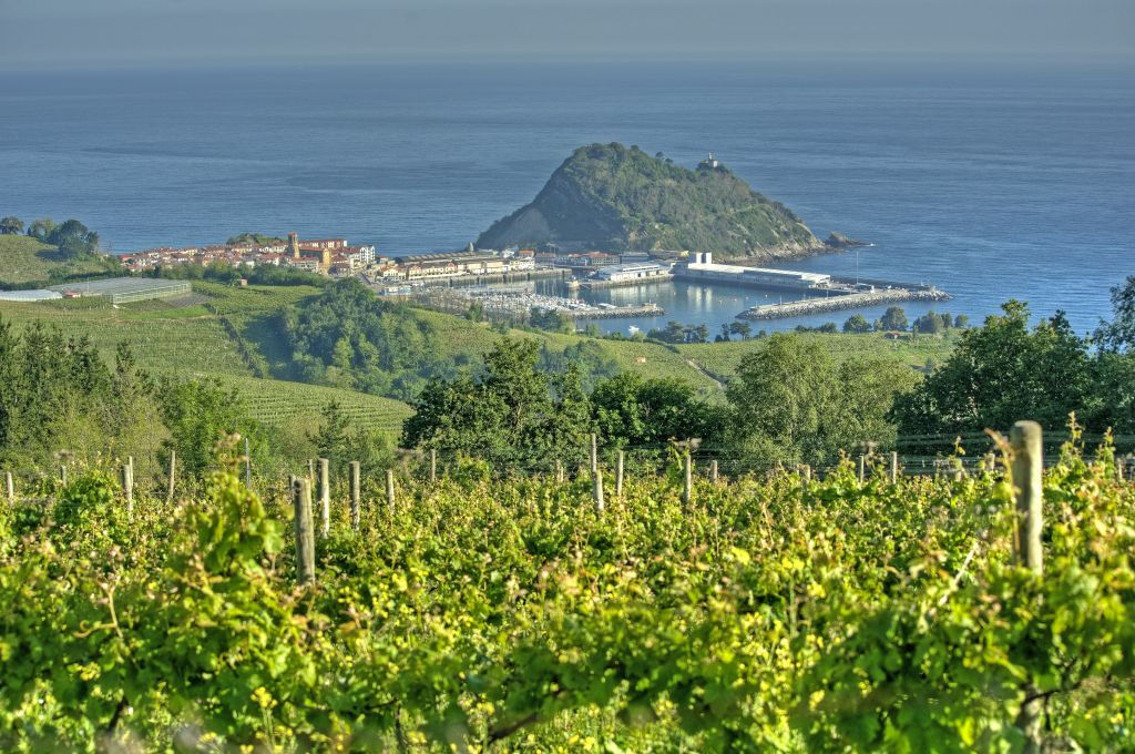 Bodega de txakolí y Getaria: Tour guiado desde San Sebastián
