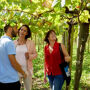 Bodega de txakolí y Getaria: Tour guiado desde San Sebastián