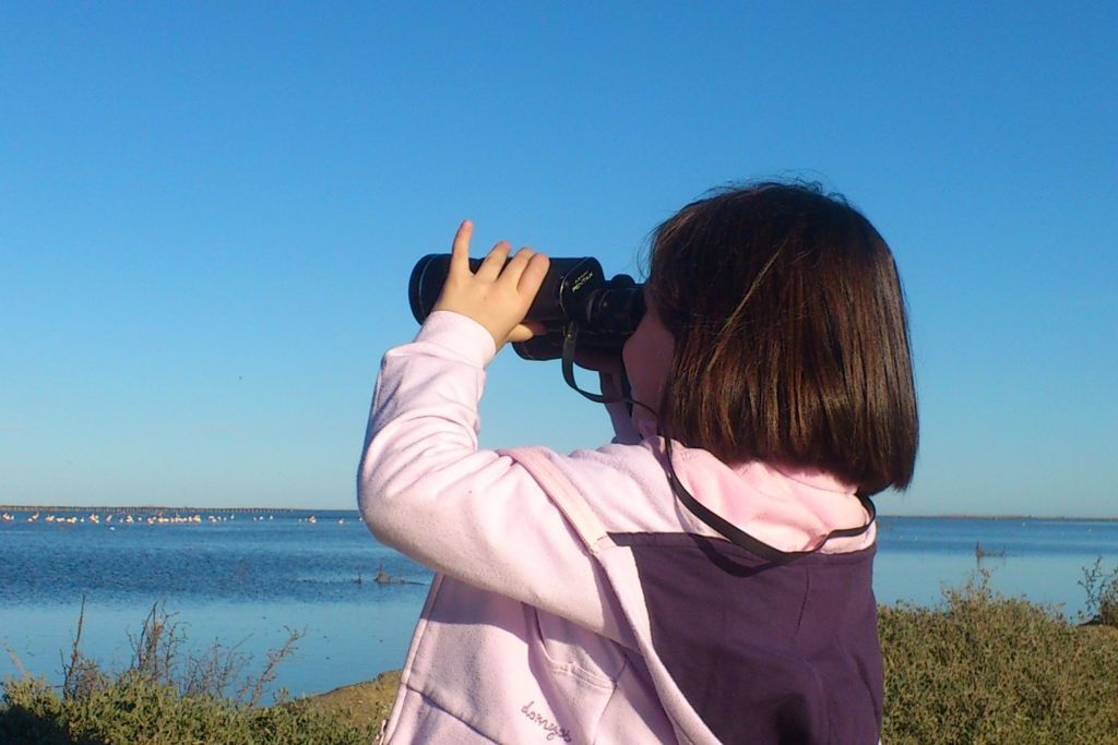 Visite guidée du Delta en voiture