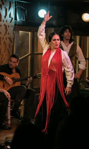 Tablao Flamenco Jardines de Zoraya