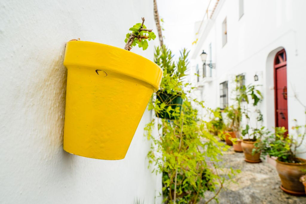 Nerja y Frigiliana: Tour guiado desde Granada