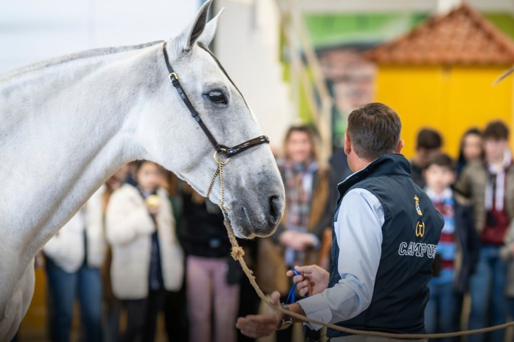 Sevilla Equestrian: a história de um campeão