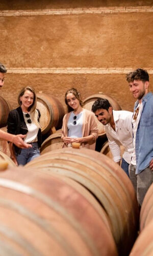 Toledo: City & Winery Tour from Madrid + Wine Tasting