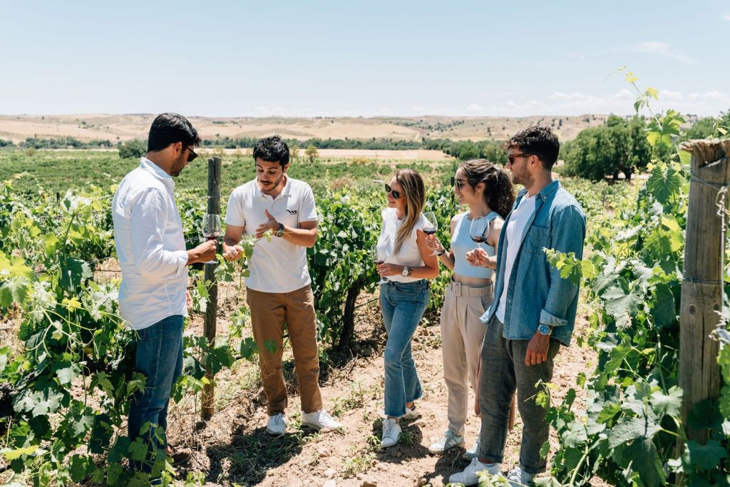 Toledo: tour della città e delle cantine da Madrid + degustazione di vini