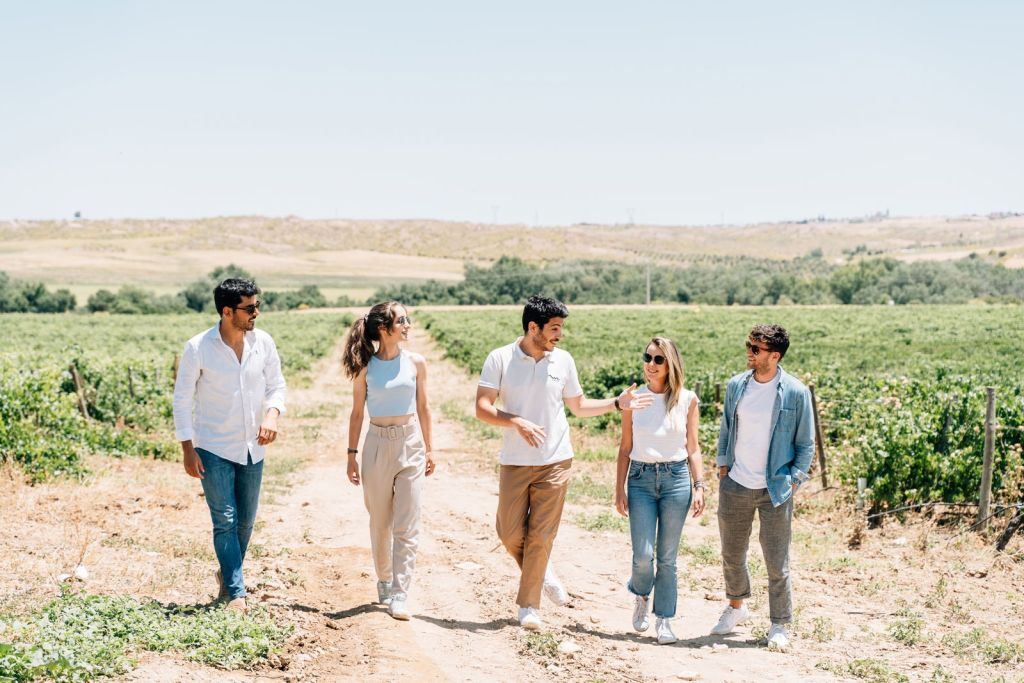 Toledo: tour della città e delle cantine da Madrid + degustazione di vini