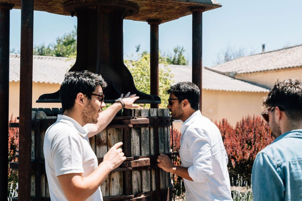 Toledo: tour della città e delle cantine da Madrid + degustazione di vini