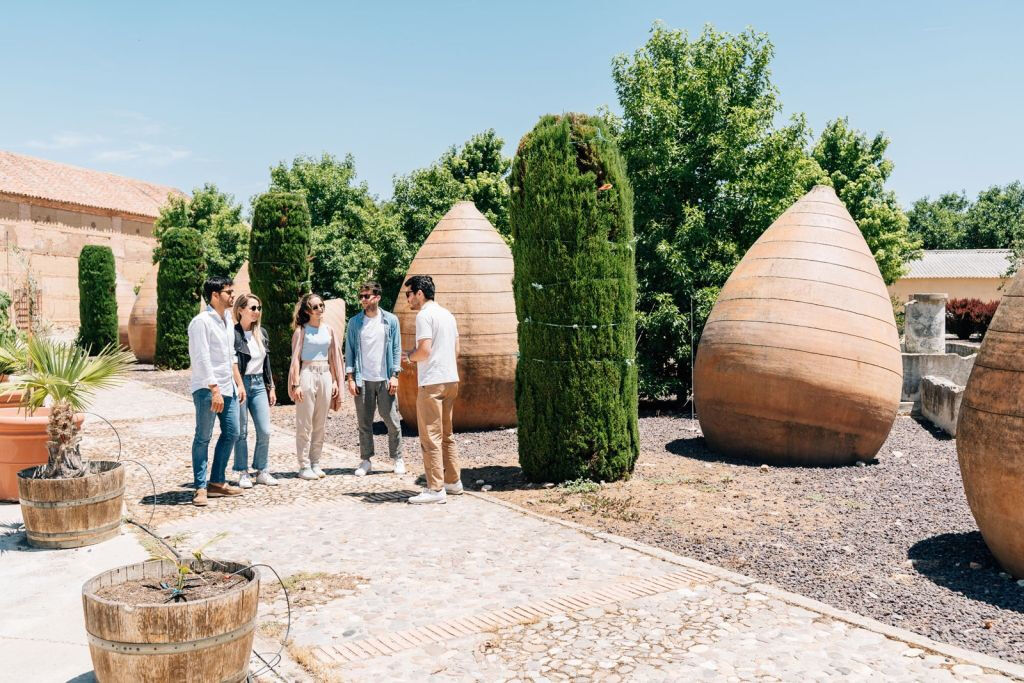 Toledo: tour della città e delle cantine da Madrid + degustazione di vini