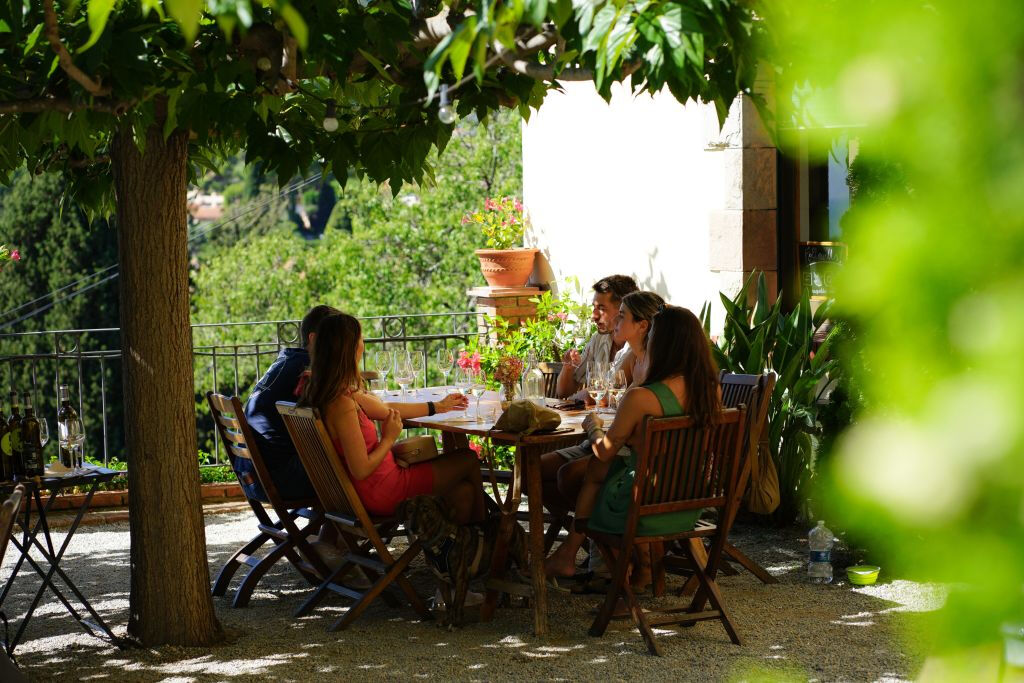 Voile, visite d'un vignoble et dégustation de vin au départ de Barcelone