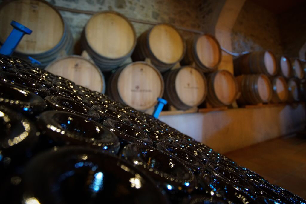 Voile, visite d'un vignoble et dégustation de vin au départ de Barcelone