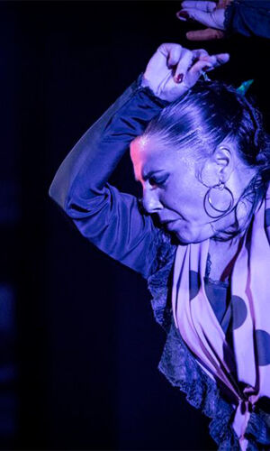 Alegría Flamenco Málaga