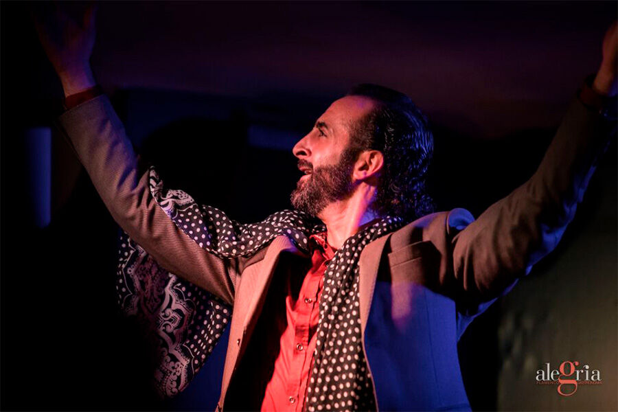 Alegría Flamenco Málaga