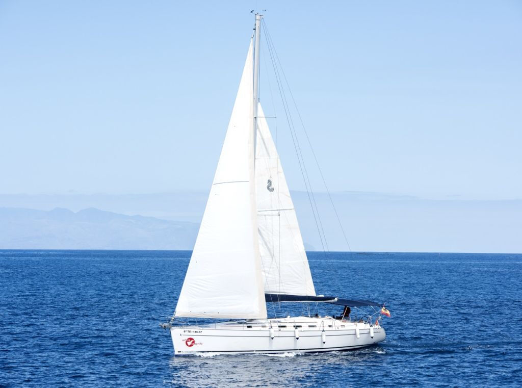 Avvistamento Balene e Delfini da una Barca a vela