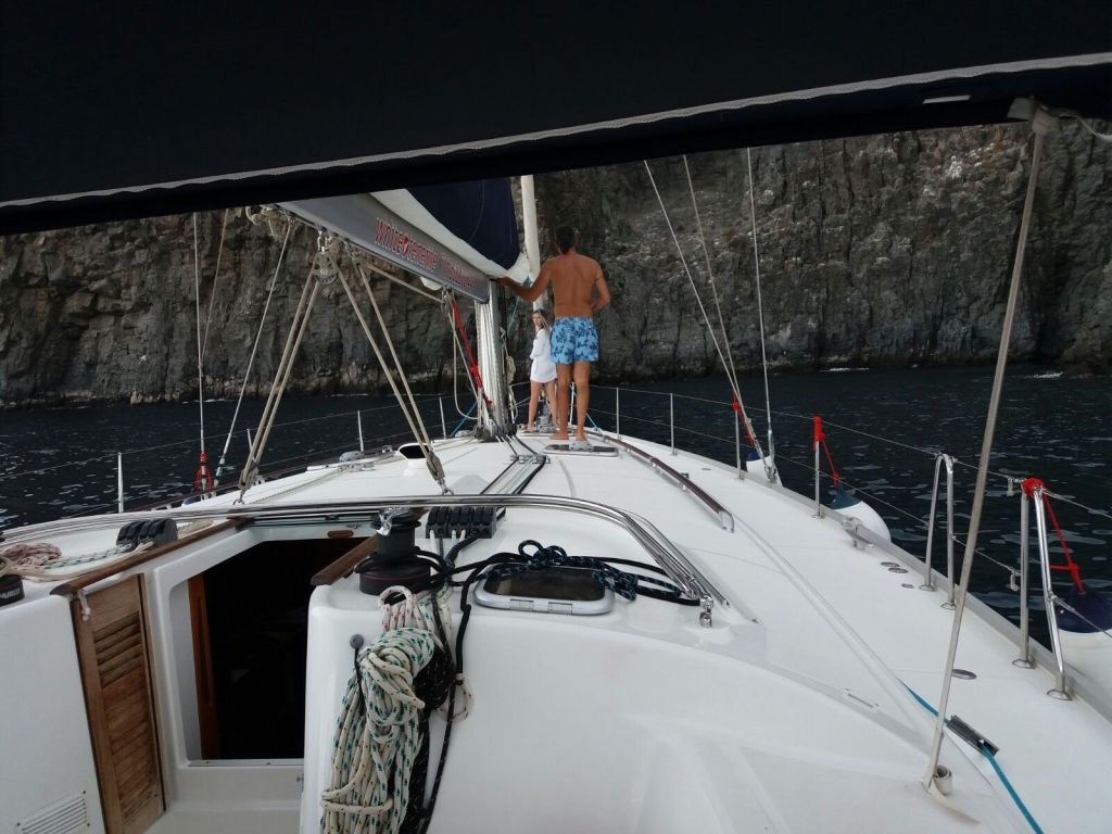 Avvistamento Balene e Delfini da una Barca a vela