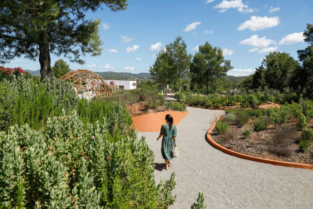 Ibiza Botánico Biotecnológico: Entrada sin colas