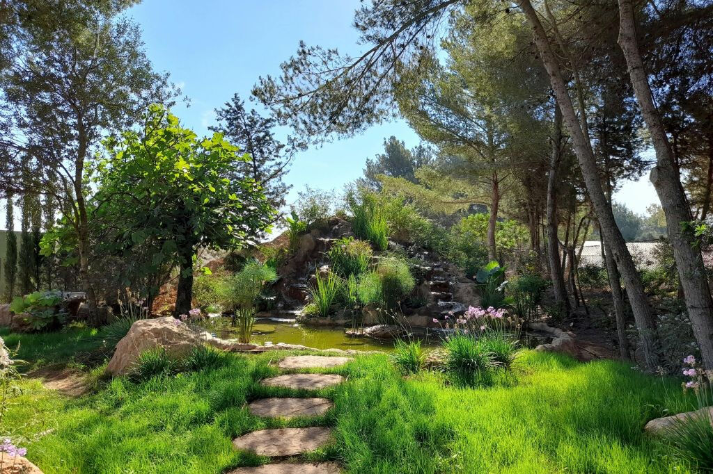 Ibiza Botánico Biotecnológico: Entrada sin colas